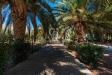Villa in vendita con giardino a Brindisi in strada statale per mesagne - 08, Foto 8