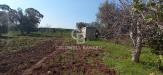 Rustico in vendita con giardino a San Vito dei Normanni in contrada gabellotti sn - 03, Foto 3