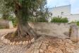 Rustico in vendita con giardino a Ostuni in contrada rialbo di sotto sn - 07, Foto 7