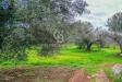 Rustico in vendita con giardino a Carovigno in contrada arrighi sn - 02, Foto 2