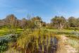 Villa in vendita con giardino a Ostuni in c.da cervarolo 120 - 04, Foto 4
