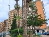 Appartamento in vendita a Taranto in corso piemonte 63 - 03, Foto 3