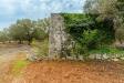 Rustico in vendita da ristrutturare a Ostuni in contrada badessa 0 - 08, Foto 8