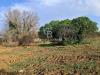 Rustico in vendita da ristrutturare a Latiano in contrada cazzanoce snc - 04, Foto 4