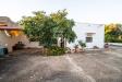 Villa in vendita a Carovigno in contrada parco grande sn - 05, Foto 5