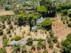 Villa in vendita con giardino a Ostuni in contrada peraro sn - 05, Foto 5
