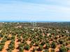 Terreno Agricolo in vendita a Ostuni in contrada santa varva sn - 10, Foto 10