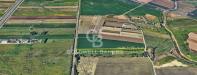 Terreno Agricolo in vendita a Brindisi in contrada scalella - 02, Foto 2