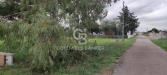 Terreno Agricolo in vendita a Avetrana in via del mirto snc - 03, Foto 3