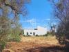 Rustico in vendita con giardino a San Vito dei Normanni in contrada spagnoletto sn - 07, Foto 7