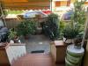 Villa in vendita con giardino a Viareggio - terminetto - 04
