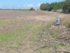 Terreno Agricolo in vendita a Lesina - 02, bocchetta bonifica.jpg