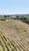 Terreno Agricolo in vendita a Siena - 05, dji_fly_20240723_141506_0135_1721922854208_photo.j