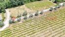 Terreno Agricolo in vendita a Siena - 10, dji_fly_20240723_141620_0137_1721922765765_photo.j