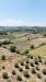 Terreno Agricolo in vendita a Siena - 06, dji_fly_20240723_142142_0166_1721922567821_photo.j