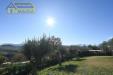 Villa in vendita con giardino a Monteprandone - 10, Foto 10