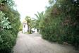Villa in vendita con giardino a Spinetoli - 03, Foto 3