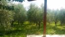 Rustico in vendita con giardino a Isernia - 07, Foto 7
