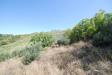 Rustico in vendita a Ripatransone - 04, Foto 4