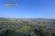 Casa indipendente in vendita con giardino a Castel di Lama - 06, Foto 6