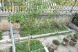 Appartamento in vendita con giardino a Castel di Lama - 05, Foto 5