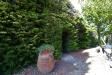 Villa in vendita con giardino a Ripatransone - 06, Foto 6