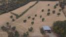 Terreno Agricolo in vendita a Massignano - 10, Foto 10
