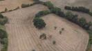 Terreno Agricolo in vendita a Massignano - 05, Foto 5