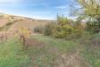 Terreno Agricolo in vendita a Ripatransone - 07, Foto 7