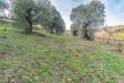 Terreno Agricolo in vendita a Ripatransone - 08, Foto 8