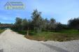 Terreno Agricolo in vendita a Colli del Tronto - 02, Foto 2