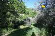 Terreno Agricolo in vendita a Ascoli Piceno - 05, Foto 5