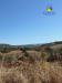 Terreno Agricolo in vendita a Controguerra - 02, Foto 2
