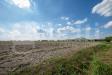 Terreno Agricolo in vendita a Este - 03, ViaCortonaEste-9482.jpg
