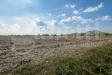 Terreno Agricolo in vendita a Este - 02, ViaCortonaEste-9483.jpg