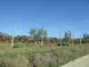 Terreno Agricolo in vendita a Offida - 03, Foto 3