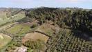 Terreno Agricolo in vendita a Monteprandone in via santa lucia snc - 10, Foto 10