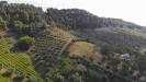 Terreno Agricolo in vendita a Monteprandone in via santa lucia snc - 05, Foto 5