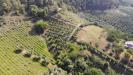 Terreno Agricolo in vendita a Monteprandone in via santa lucia snc - 07, Foto 7