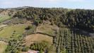 Terreno Agricolo in vendita a Monteprandone in via santa lucia snc - 09, Foto 9