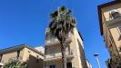 Appartamento in affitto a San Benedetto del Tronto in via palestro 1 - 02, Foto 2