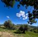 Rustico in vendita a Ripatransone in contrada messieri snc - 03, Foto 3
