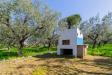 Villa in vendita con giardino a Casalbordino in via piana del lago 47 - 07, Foto 7