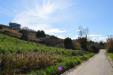 Terreno Agricolo in vendita a Vasto in localita' fonte grugnale - 05, Foto 5