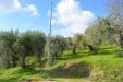 Terreno Agricolo in vendita a Vasto in via della croce di montevecchio 30 - 03, Foto 3