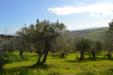 Terreno Agricolo in vendita a Vasto in via della croce di montevecchio 30 - 08, Foto 8