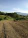 Terreno Agricolo in vendita a Castorano - 04, Foto 4