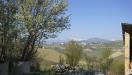 Rustico in vendita da ristrutturare a Offida in contrada s. lazzaro - 02, Foto 2