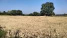 Terreno Agricolo in vendita a Grottammare in strada comunale montesecco - 02, Foto 2