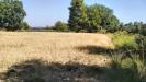 Terreno Agricolo in vendita a Grottammare in strada comunale montesecco - 06, Foto 6